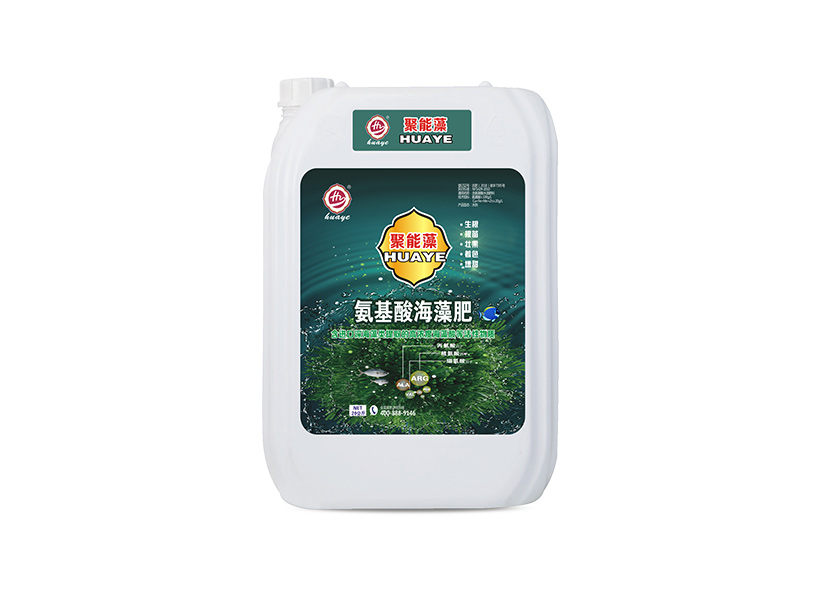 聚能藻.jpg