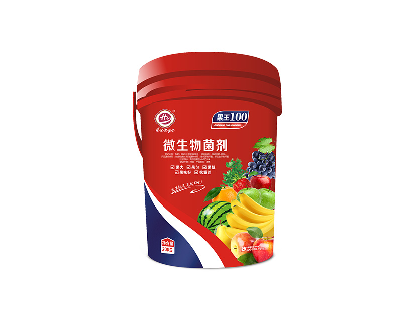 果王100.jpg