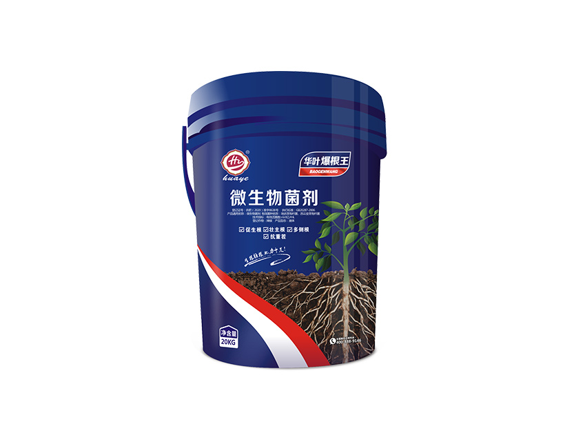 华叶爆根王.jpg